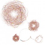 corso – Neuroscienze corso – Neuroscienze
