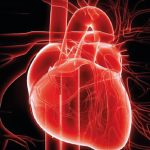Corso – Aggiornamenti di cardiologia Corso – Aggiornamenti di cardiologia