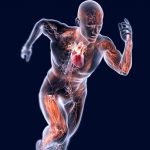 corso – Approfondimenti di Fisiologia Umana corso – Approfondimenti di Fisiologia Umana